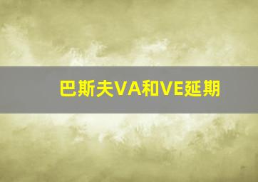 巴斯夫VA和VE延期