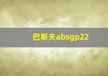 巴斯夫absgp22