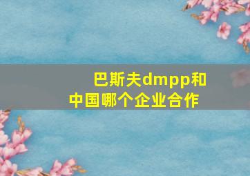 巴斯夫dmpp和中国哪个企业合作