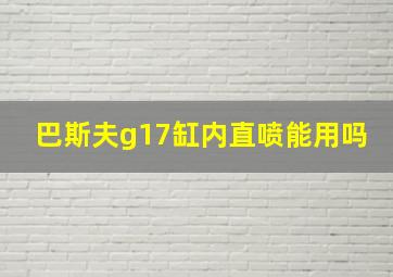 巴斯夫g17缸内直喷能用吗