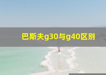 巴斯夫g30与g40区别