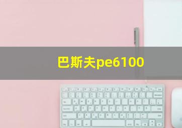 巴斯夫pe6100