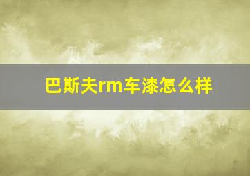 巴斯夫rm车漆怎么样