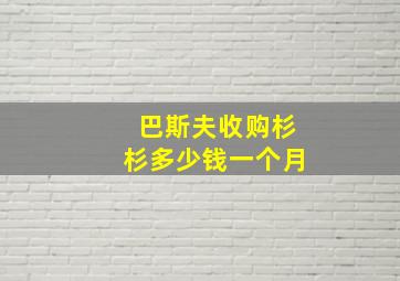 巴斯夫收购杉杉多少钱一个月