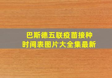 巴斯德五联疫苗接种时间表图片大全集最新