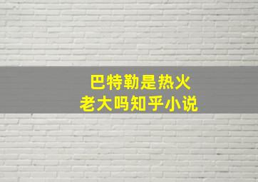 巴特勒是热火老大吗知乎小说