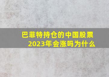 巴菲特持仓的中国股票2023年会涨吗为什么