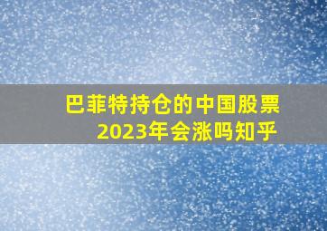 巴菲特持仓的中国股票2023年会涨吗知乎