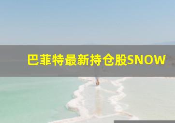 巴菲特最新持仓股SNOW