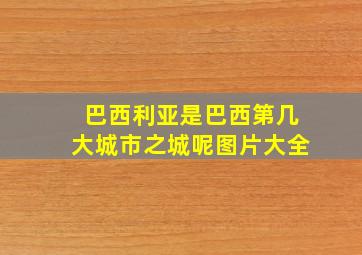 巴西利亚是巴西第几大城市之城呢图片大全