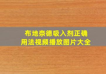 布地奈德吸入剂正确用法视频播放图片大全