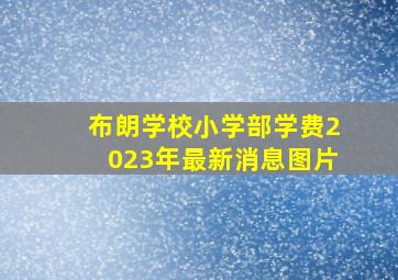 布朗学校小学部学费2023年最新消息图片