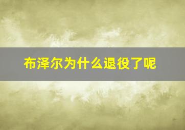 布泽尔为什么退役了呢