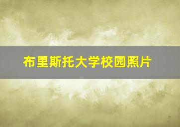 布里斯托大学校园照片