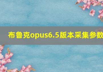 布鲁克opus6.5版本采集参数