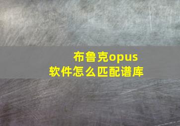 布鲁克opus软件怎么匹配谱库