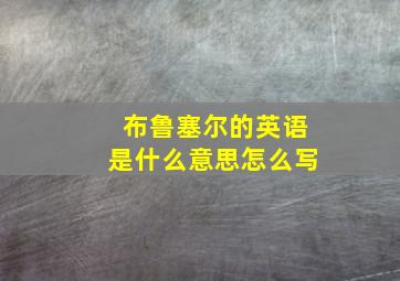 布鲁塞尔的英语是什么意思怎么写