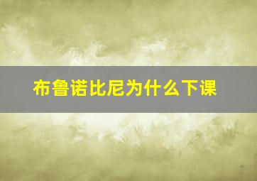 布鲁诺比尼为什么下课