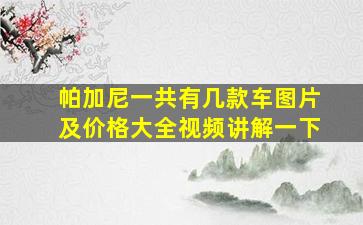 帕加尼一共有几款车图片及价格大全视频讲解一下