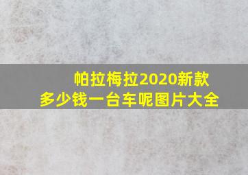 帕拉梅拉2020新款多少钱一台车呢图片大全