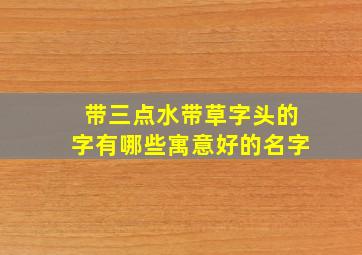 带三点水带草字头的字有哪些寓意好的名字