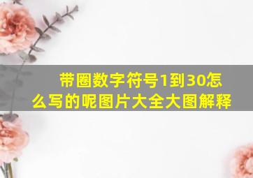 带圈数字符号1到30怎么写的呢图片大全大图解释