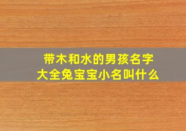 带木和水的男孩名字大全兔宝宝小名叫什么