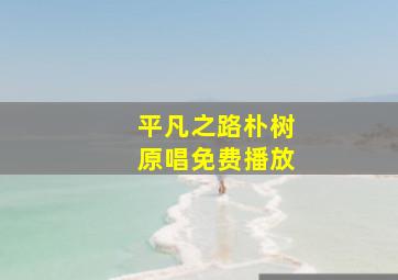 平凡之路朴树原唱免费播放