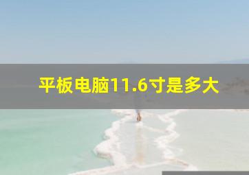 平板电脑11.6寸是多大