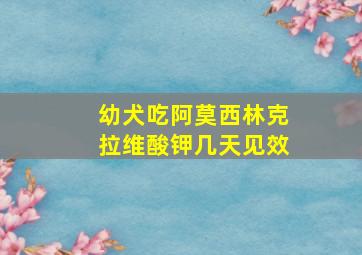 幼犬吃阿莫西林克拉维酸钾几天见效