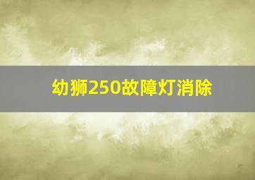 幼狮250故障灯消除