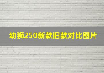 幼狮250新款旧款对比图片