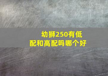 幼狮250有低配和高配吗哪个好