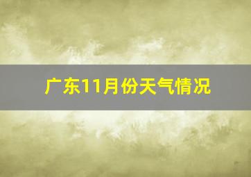 广东11月份天气情况