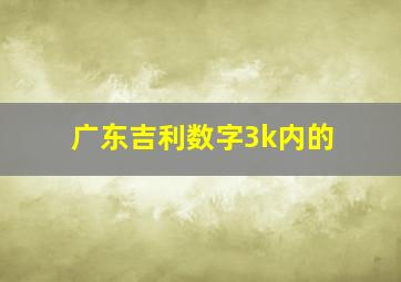 广东吉利数字3k内的