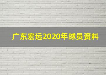 广东宏远2020年球员资料