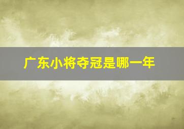 广东小将夺冠是哪一年