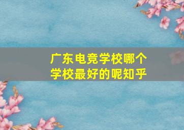 广东电竞学校哪个学校最好的呢知乎