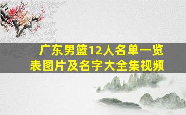 广东男篮12人名单一览表图片及名字大全集视频