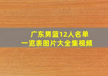 广东男篮12人名单一览表图片大全集视频