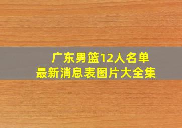 广东男篮12人名单最新消息表图片大全集