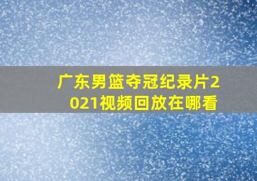 广东男篮夺冠纪录片2021视频回放在哪看