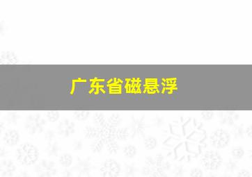 广东省磁悬浮