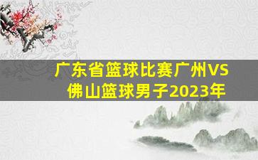 广东省篮球比赛广州VS佛山篮球男子2023年