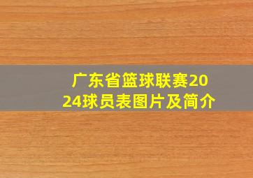 广东省篮球联赛2024球员表图片及简介