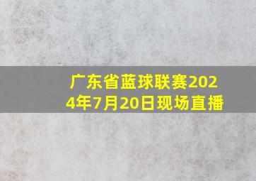 广东省蓝球联赛2024年7月20日现场直播