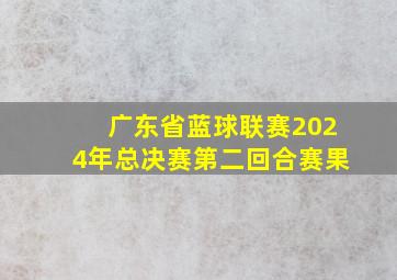 广东省蓝球联赛2024年总决赛第二回合赛果