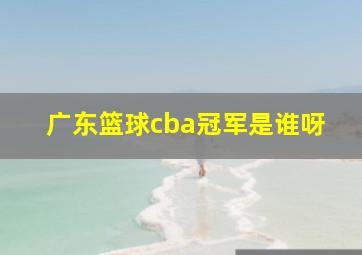 广东篮球cba冠军是谁呀