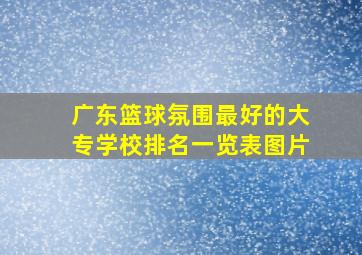 广东篮球氛围最好的大专学校排名一览表图片