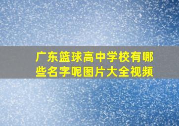 广东篮球高中学校有哪些名字呢图片大全视频